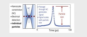 nCS1-2